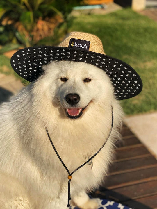 Chapéu de Palha Âncora